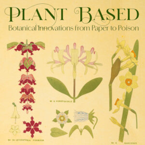 title page for Plant Based exhibit featuring old images of flowers
